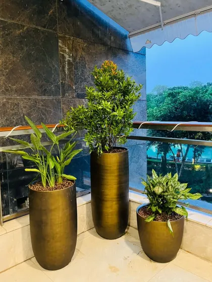We used a set of matching metallic planters in varying heights to add dimension and a touch of modern sophistication to this balcony corner. The selection of hardy green plants ensures a lush look with minimal maintenance.