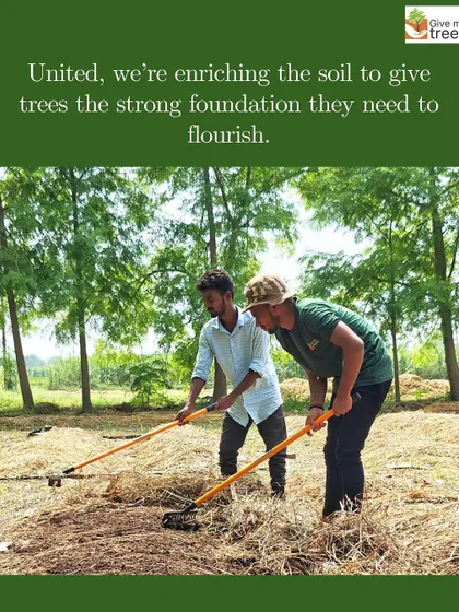 Two of our team members work in unison to enrich the soil. This collaborative effort ensures the land is perfectly prepared to give our trees the strong foundation they need to flourish.