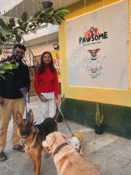 Everyone posing for a family photo. It's great to see a German Shepherd, Labrador, and Spitz all getting along so well.