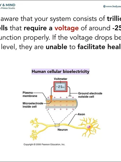 Our cells require a certain voltage to function and heal properly. Chronic stress and inflammation can lower this voltage.