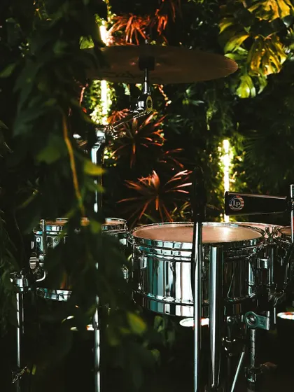 Even the DJ and drum setup was integrated into the 'Jungle Disco' theme, surrounded by lush plants to feel like part of the jungle. Every detail contributes to the overall story.