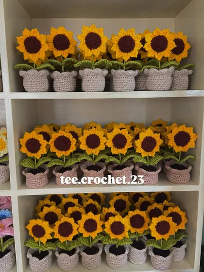 A close-up of the sunflower section on my shelves, showing the consistency and quality of each potted plant.