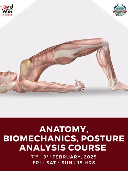 The February Anatomy course is a 15-hour deep dive into the science of movement. It is a prerequisite for my Mat and Reformer courses and is open to all fitness enthusiasts.