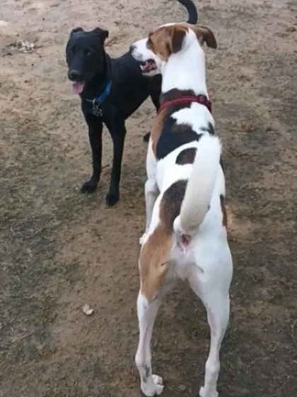 Two friends taking a break. Socialization is as much about calm moments as it is about active play.