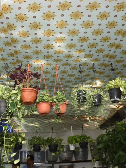Look up and you'll find beauty everywhere. Our stalls often feature creative displays, like these hanging plants that create a lush canopy for shoppers.