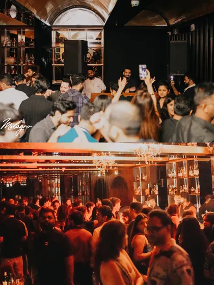A collage from a star-studded night. The top frame shows the crowd vibing, and the bottom shows a packed house, a testament to a great party.