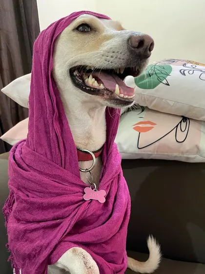 This is Joy, our resident fashionista. We have so much fun with our guests, and sometimes that includes a little dress-up. She looks fabulous, doesn't she?