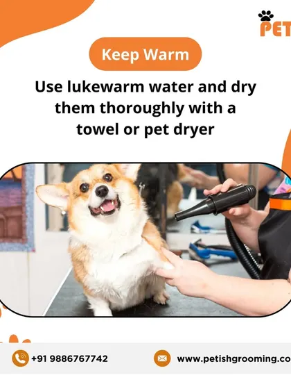Winter care tip: Keep them warm! Always use lukewarm water for baths and dry them thoroughly with a towel or a pet-safe dryer.