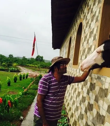 A complete tour of the stud farm project. The images showcase the unique architecture of the stables, the expansive green lawns, and the checkerboard pathways, all designed to be in harmony with nature.