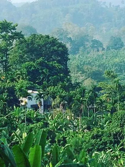A view of the Jalakara villa nestled within the dense, green canopy of the Andaman rainforest.