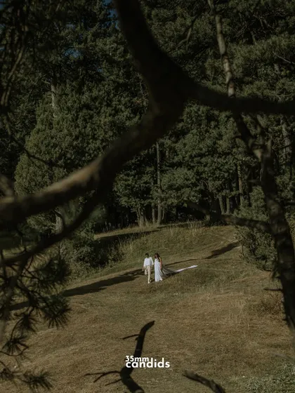 A voyeuristic shot of the couple walking on a grassy hill, framed by tree branches. It creates a sense of a private, stolen moment.