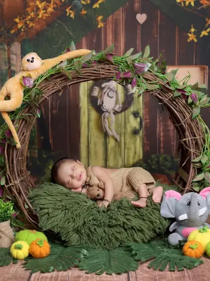 A full view of our jungle animal theme, showcasing the rich colors and textures that bring the safari adventure to life in our studio.