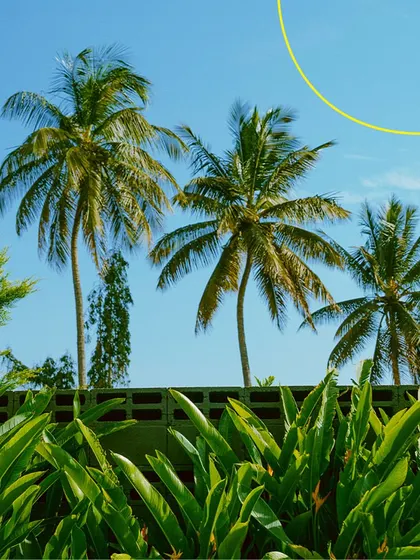 Blue skies and green palms are a signature part of the GCBC view. It's the perfect backdrop for a relaxing afternoon.