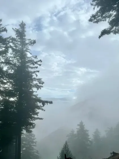 The journey begins, with misty clouds framing the tall pines. The views on our Kashmir trek are spectacular from the very first step.