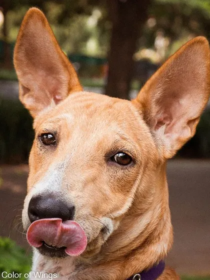 This is the same lovely headshot of Jimmy, ensuring his handsome face gets plenty of visibility.
