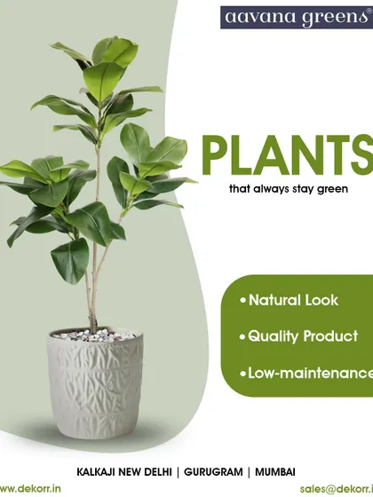 Plants that always stay green. This Fiddle Leaf Fig is a perfect example of our commitment to natural looks, quality products, and low-maintenance solutions for your home.