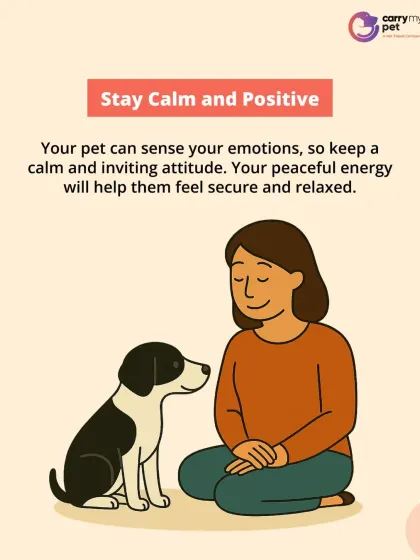 Your pet can sense your emotions. When introducing them to a newborn, it's important to stay calm and positive to help your pet feel secure and relaxed.