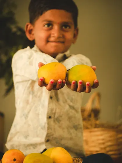 A young boy proudly presenting two ripe mangoes, his face full of happiness. This shot is a simple yet powerful representation of the season's bounty.