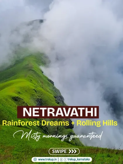 Describing the Netravathi trek as "Rainforest Dreams and Rolling Hills," promising misty mornings.