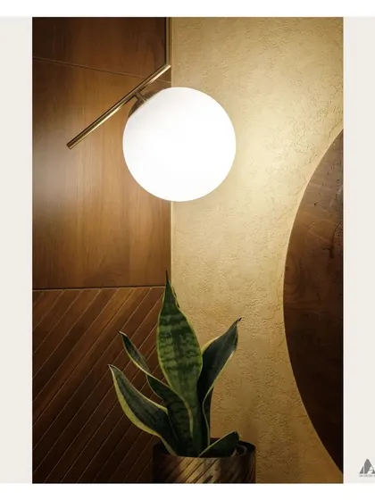 A detail shot focusing on the interplay of light, texture, and form. The modern globe pendant light contrasts beautifully with the warm wood panels and the organic shape of the snake plant.