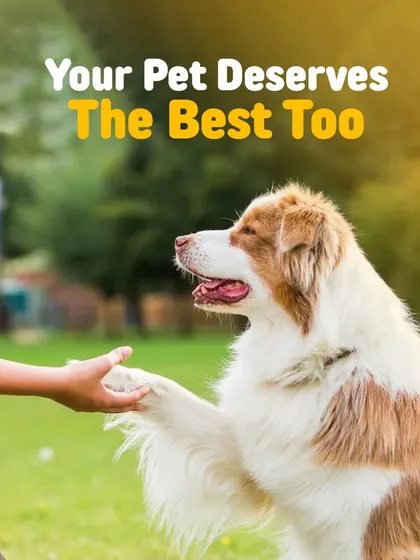 Your best friend deserves the best care. We're committed to providing top-quality products that support their health and happiness, because they give us their best every single day.