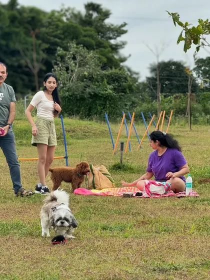 A family enjoying a picnic on the grass. You can bring your own setup or use our tables for a perfect outdoor meal.