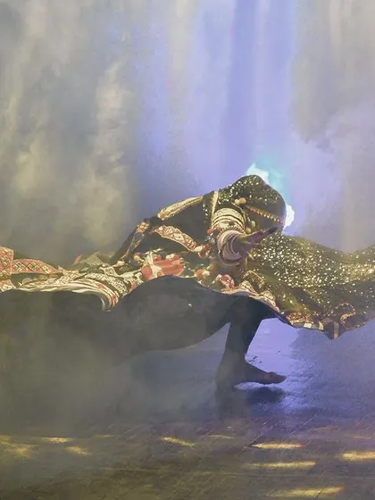 The raw energy of the Kalbelia dance, captured in a single, powerful motion. The flowing costume and dramatic lighting highlight the wild spirit of this ancient folk art.