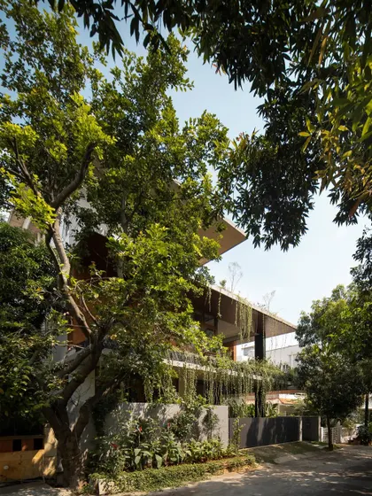 The house viewed from the street, nestled behind existing trees and its own integrated landscape.