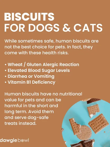 Human biscuits are not a good choice for pets. They are often full of sugar, salt, and other ingredients that can cause health issues and offer no nutritional value. Always choose treats made specifically for pets.