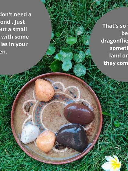 We teach our children to care for all creatures, big and small. Setting up a simple bug bath with pebbles gives thirsty bees and dragonflies a safe place to drink, fostering empathy and an early love for conservation.