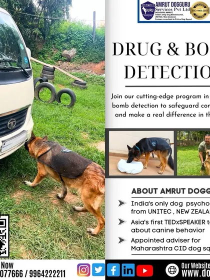Our advanced modules include drug and bomb detection. This graphic shows a German Shepherd learning to identify and indicate specific scents, a vital skill for safeguarding communities.