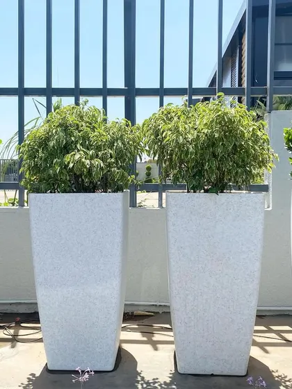 These large, stone-finish planters are ideal for modern outdoor spaces like terraces and balconies. This image shows how the combination of round and square pots with lush greenery creates a clean, sophisticated look.