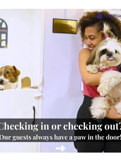 Checking in or checking out, our guests always have a paw in the door! We create such a fun environment that they can't wait to come back.