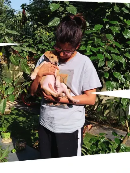 Saying goodbye to BoPeep was tough! She stayed with me for her travel preparations, and this is me giving her a final cuddle before she left for Belgium.