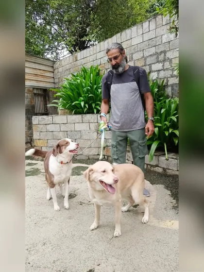 Alexa and Kathy out for a walk with our founder before their flight. Traveling as accompanied baggage from Delhi to Toronto, we made sure they were relaxed and ready for their journey to Canada.