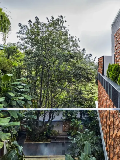 The interplay between the solid architectural forms and the soft, organic shapes of the plants is a key theme in our residential designs, as seen here at Project 58.