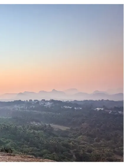 This is our Maamara farm, a place that makes you want to sit back, breathe deep, and just stay a little longer. It's where life feels just right, surrounded by nature's quiet rhythm.