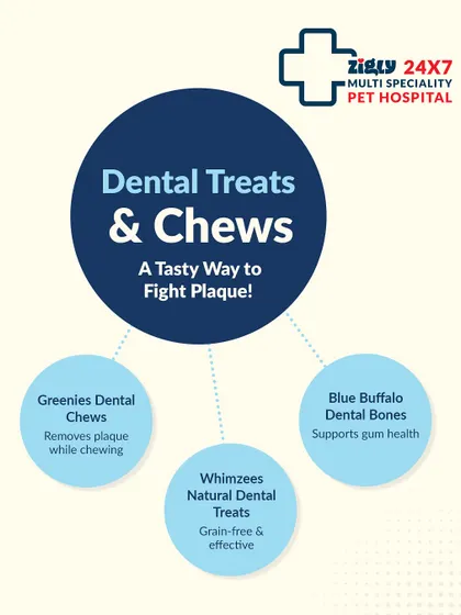 Dental treats and chews are a tasty and effective way to fight plaque. I stock a variety of vet-approved options like Greenies and Blue Buffalo dental bones.