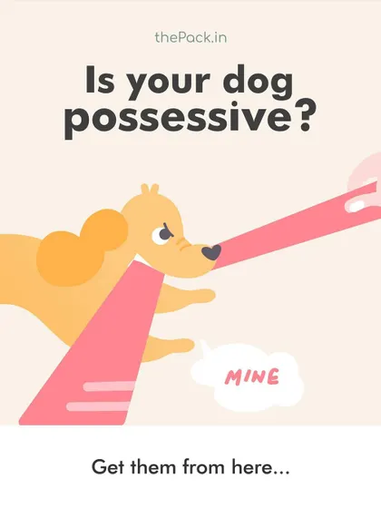 Does your dog get possessive over toys or food? This behavior is called resource guarding. This graphic is the start of a guide I created to help you understand why dogs do this and how to manage it safely.