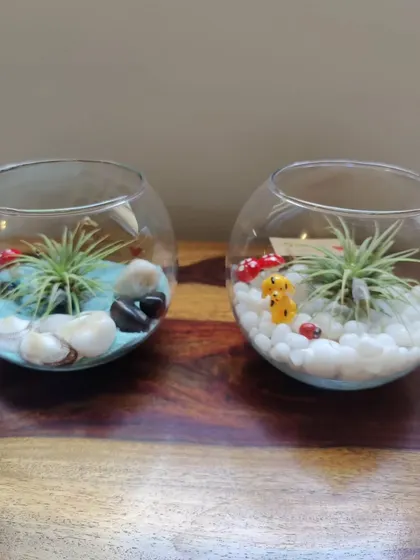 Here are two of my air plant terrariums, each with a slightly different design. They are incredibly easy to care for, requiring just a little misting every few days, making them perfect for busy people who still want some green in their life.