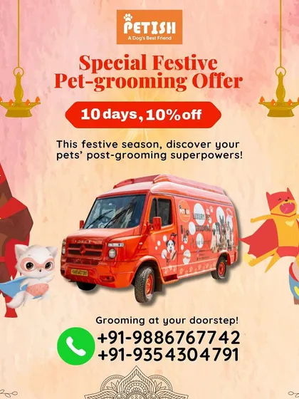 My special festive offer gives you 10% off for 10 days. It's time to discover your pet's post-grooming superpowers!