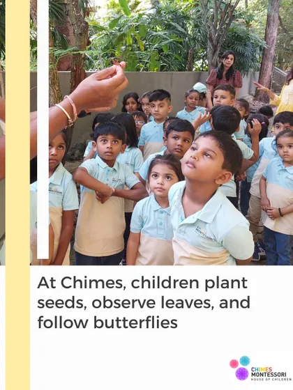 Nature is a living classroom. Here, children are on a nature walk, observing leaves and following butterflies with their guide.