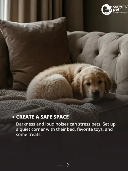 During an emergency, create a safe space for your pet. A quiet corner with their bed, favorite toys, and some treats can provide a sense of security.