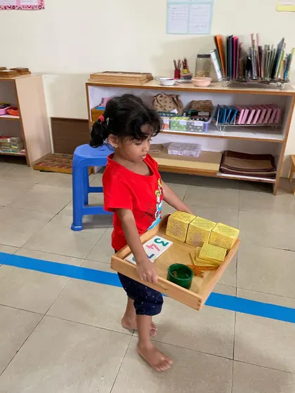 Carefully carrying a tray with materials requires balance, coordination, and focus. This practical life skill helps children develop body awareness and control, preparing them for more complex movements and tasks.