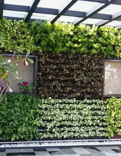 An elaborate outdoor vertical garden, or green wall, integrated into a patio space under a pergola. This installation uses a variety of plant species to create a textured, living art piece, showcasing my services in modern and space-saving green solutions.