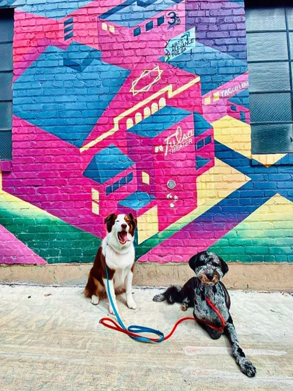 We love finding cool spots around Tulsa for our walks. This colorful mural provided a great backdrop for a quick training session and photo op.