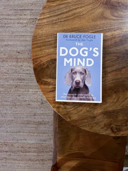 Another shot of "The Dog's Mind" on one of our wooden tables. It's a great example of the unique and thoughtful reads you can find scattered throughout the cafe.