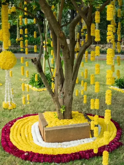 A close-up of the tree decoration for a Haldi ceremony. The tree is adorned with hanging strings of yellow marigolds and floral balls, creating a beautiful and traditional focal point.