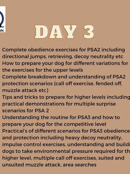 The Day 3 topics for my PSA seminar, diving into the advanced exercises for PSA2 and PSA3, including surprise scenarios and heavy decoy pressure.