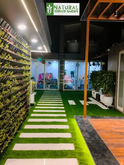 A completed project in Sonipat, Haryana, featuring a long pathway flanked by a vertical garden. The night lighting enhances the texture and greenery.